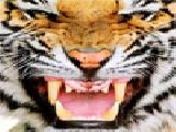 Play Royal bengal tiger