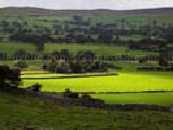 Play Jigsaw: yorkshire countryside