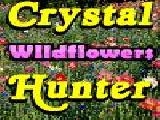 Play Crystal hunter wildflowers