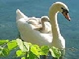 Play Swan mother and puppy puzzle