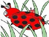 Play Cute ladybug  coloring