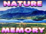 Play Brain memory: nature