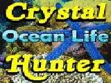 Play Sssg - crystal hunter ocean life