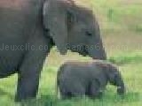 Play Puzzle elephants -1