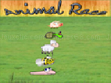 Play Animal race