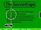 Play The soccercage