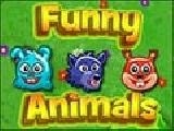 Play Funny animals