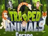 Play Trapped animals escape