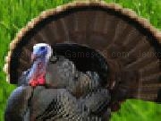 Play Thanksgiving turkey attack