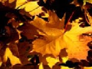 Play Autumn leafs jigsaw