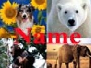 Play Name the animals