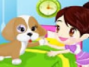 Play Color girl and cute pet