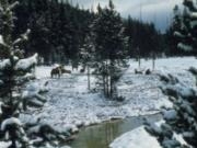 Play Yellowstone jigsaw