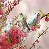 Play Blue birds  on the branch slide puzzle