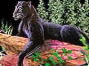 Play Wild black cat puzzle