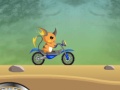 Play Raichu ride