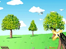 Play Flying birds hunter