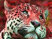 Play Red wild tigers puzzle