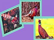 Play Pheasants in the woods puzzle