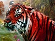 Play Red wild tigers puzzle