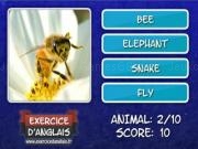 Play Name the animals