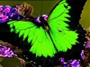 Play Green garden butterflies puzzle