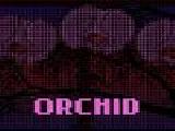 Play Orchid