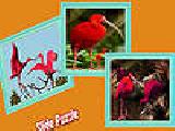 Play Scarlet ibis in the tropic island puzzle