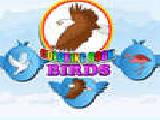 Play Birds coloring book