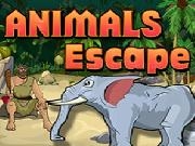 Play Animals Escape