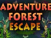 Play Adventure Forest Escape