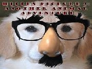 Play Hidden Picture 2: Another Animal Adventure