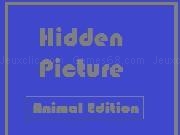 Play Hidden Picture