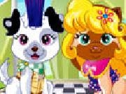 Play Pet Fashion Contest