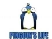 Play Pinguins Life