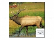 Play Deer puzzle