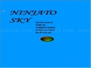 Play Ninjato sky