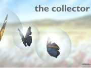 Play The collector