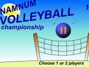 Play Namnum volleball championship 2