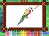 Play Parrot pal coloring